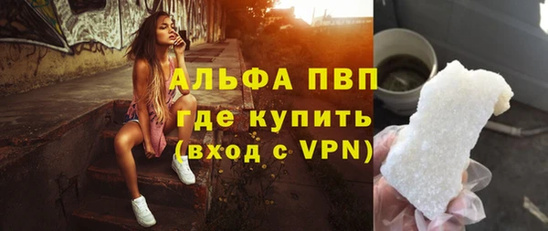 мяу мяу мука Дмитриев