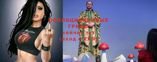 экстази Дмитров