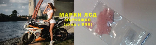мяу мяу мука Дмитриев