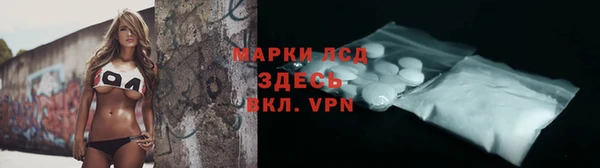 мяу мяу мука Дмитриев