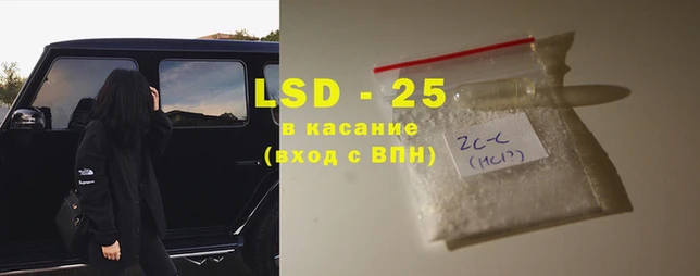 мяу мяу мука Дмитриев