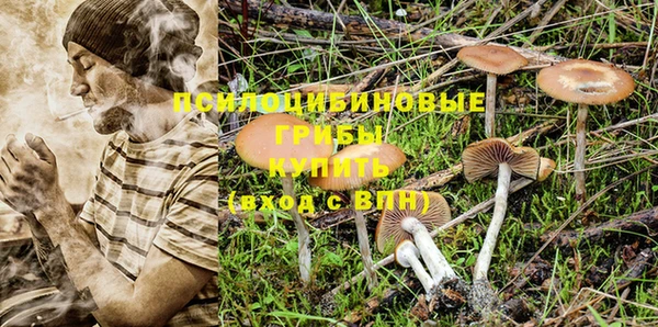 экстази Дмитров