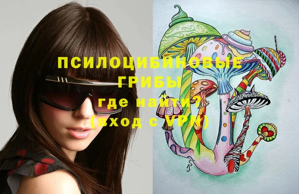 экстази Дмитров