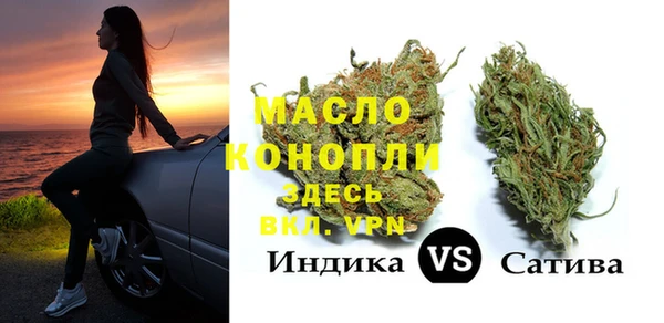 мяу мяу мука Дмитриев